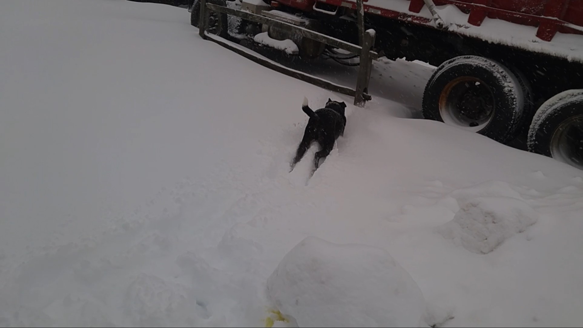 Playing in 2016 Blizzard